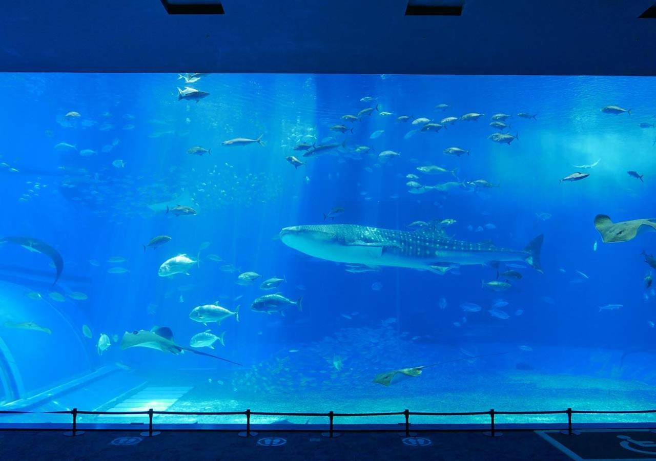 Hotel Mahaina Wellness Resorts Okinawa Exteriör bild